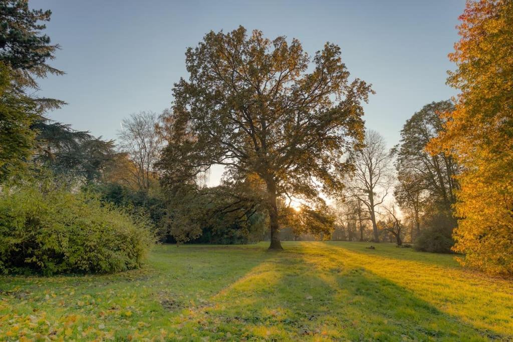 Studio "L'Ermitage" Proche Chateau Apartment แวร์ซาย ภายนอก รูปภาพ