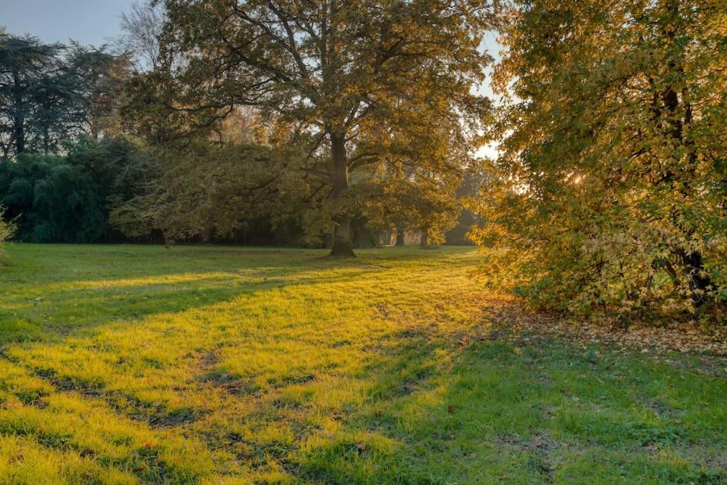 Studio "L'Ermitage" Proche Chateau Apartment แวร์ซาย ภายนอก รูปภาพ